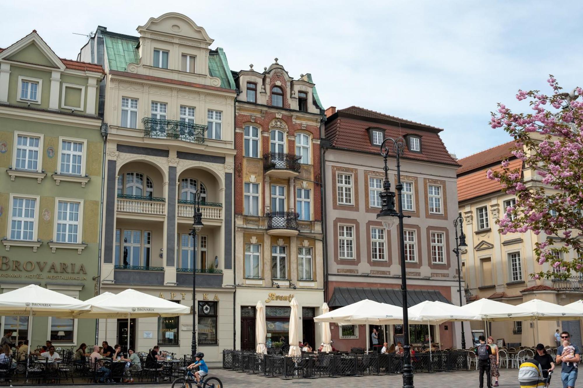 Apartamenty Drevny Kocur Poznań Exteriör bild