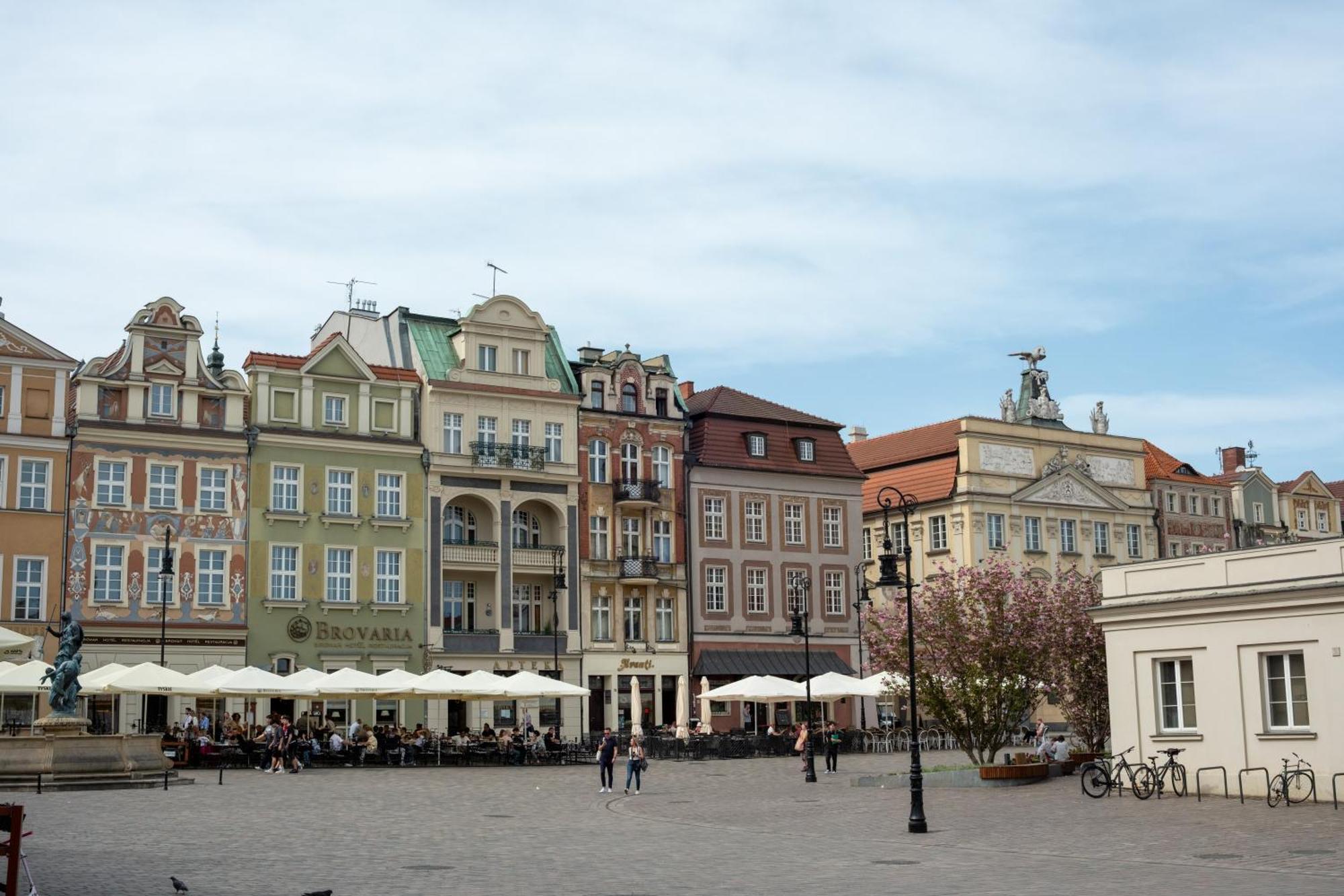 Apartamenty Drevny Kocur Poznań Exteriör bild